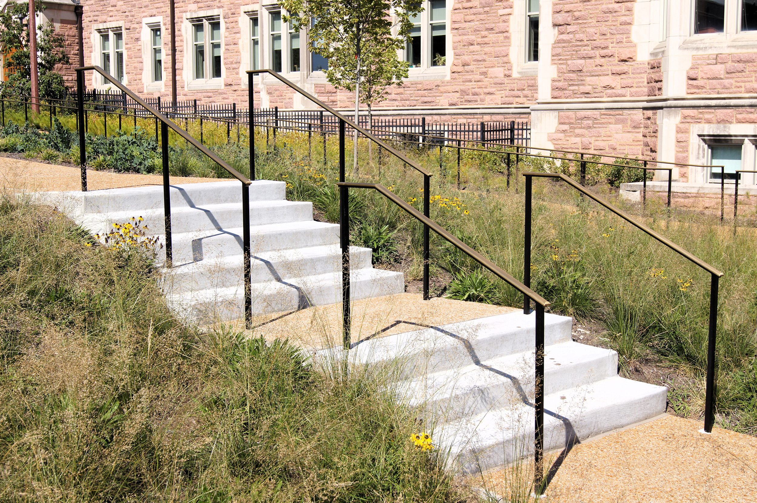 Ornamental brass rail at Washington University School of Medicine